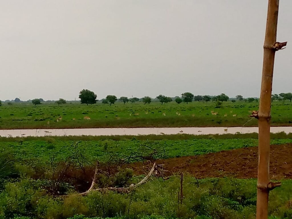 Ballia Village, Uttar Pradesh